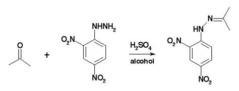 2 4 dnp test|2,4.